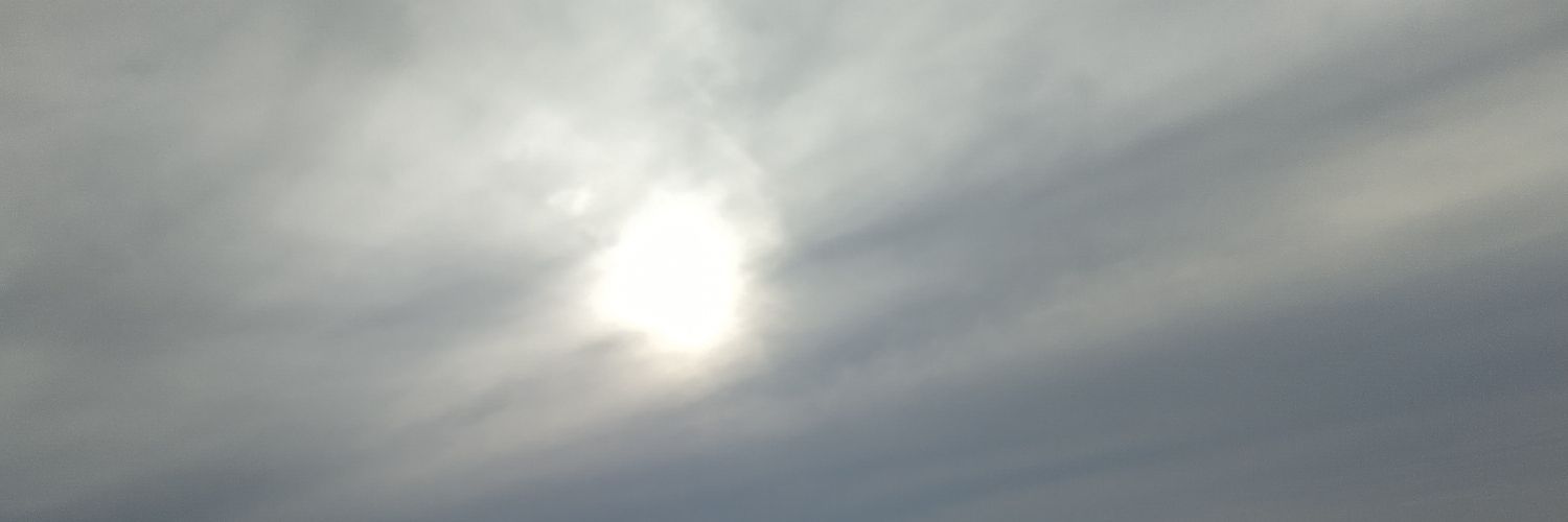 Anja Brückner's banner