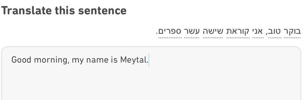 Meytal Radzinski banner