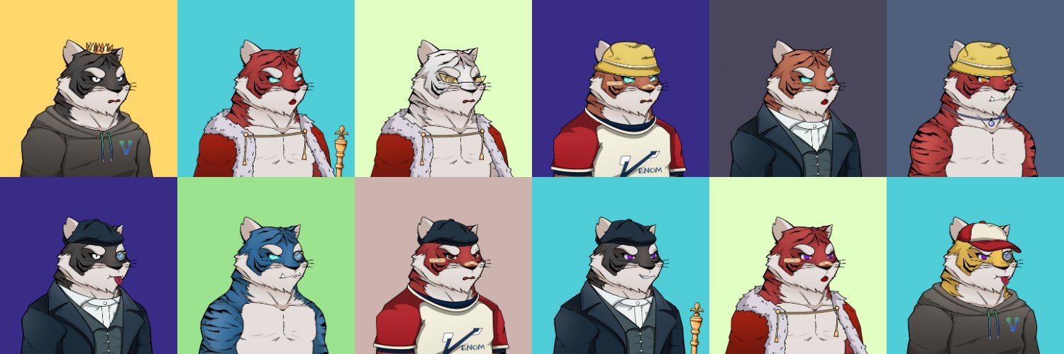 Venom Fancy Tigers banner