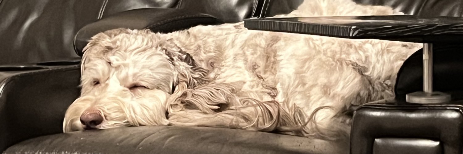 Antonio Buonviaggio banner