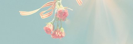 Almaays's profile banner image