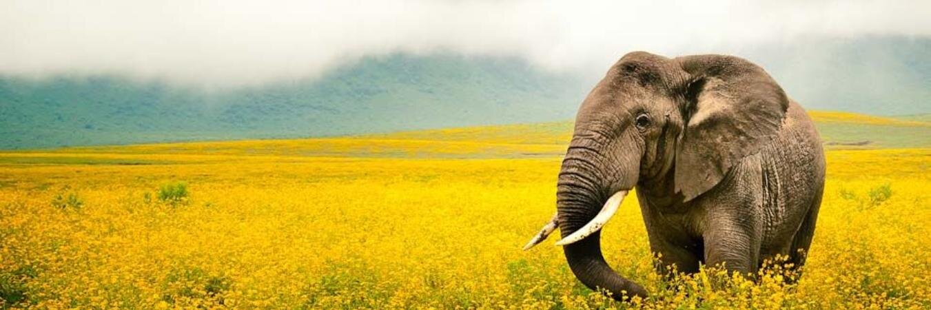 aidanunun's profile banner image