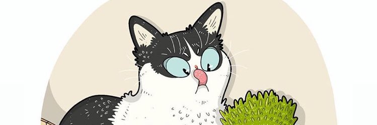 __Monita's profile banner image