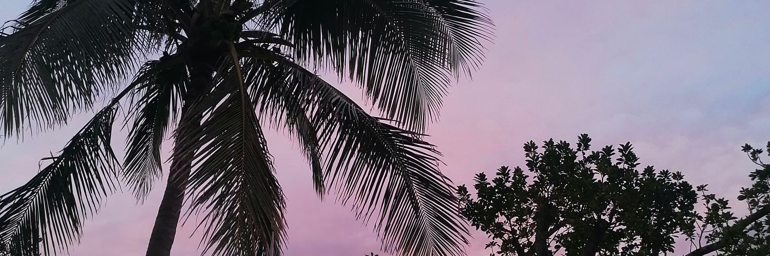 bbdbrt's profile banner image