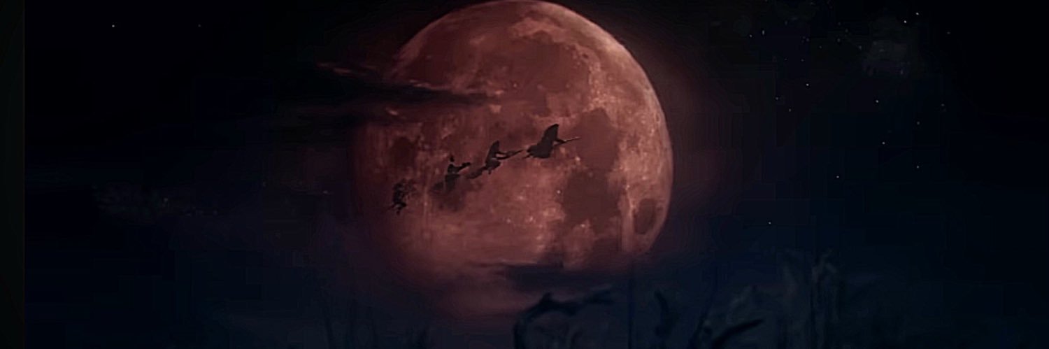 VelcroFace's profile banner image