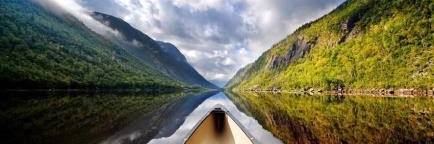 Deeann Maleficent banner