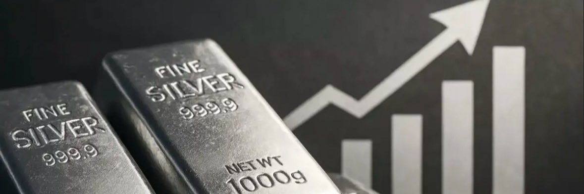Silverbull banner