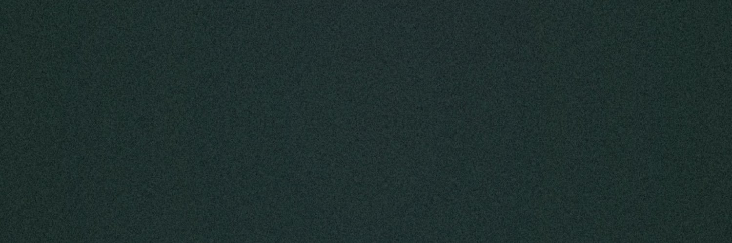 steve patrick banner