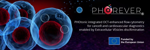 PHOREVER_EU Profile Banner