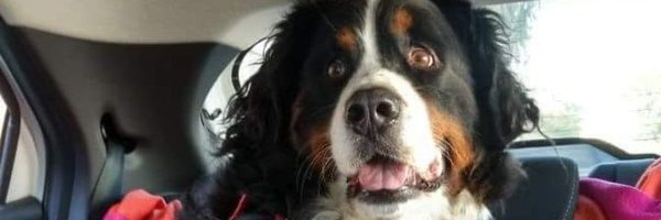 FlopyGzl Profile Banner