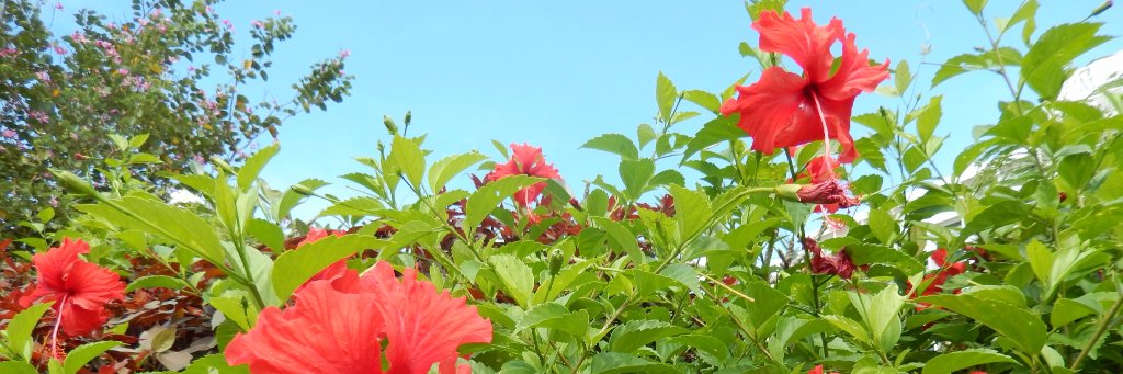 spiral134's profile banner image