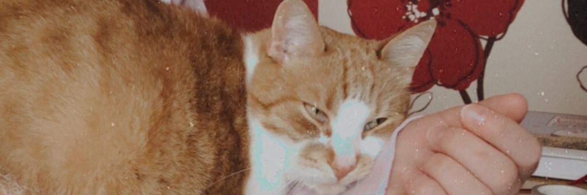 F_k007's profile banner image