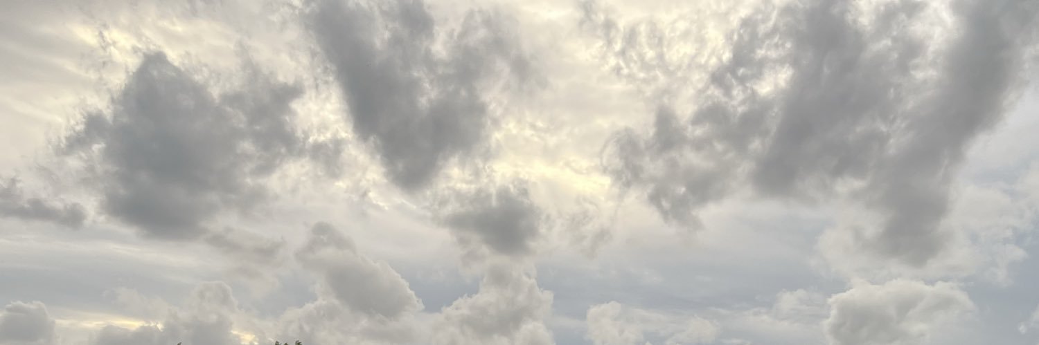 BmodeTurnon's profile banner image