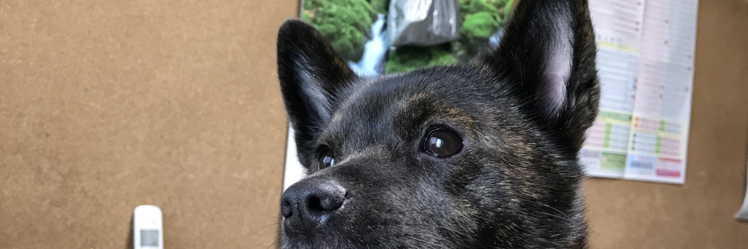 maripoooon's profile banner image