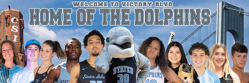 CSI Dolphins's banner