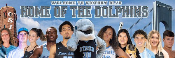 CSIDolphins Profile Banner