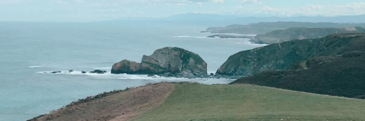 Meer🐙 banner