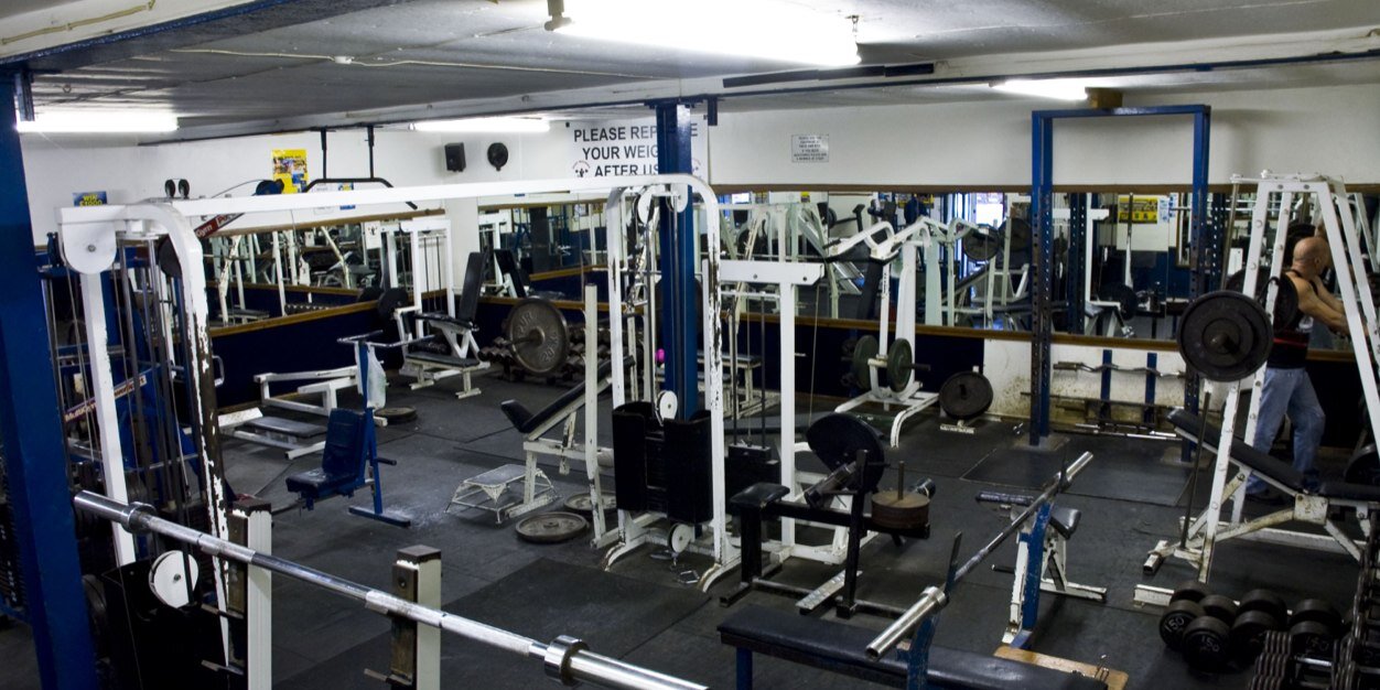 AlphaGains's profile banner image