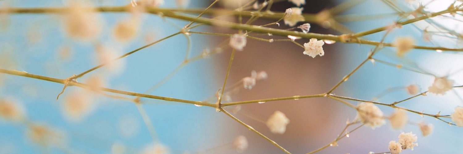 Koocath's profile banner image