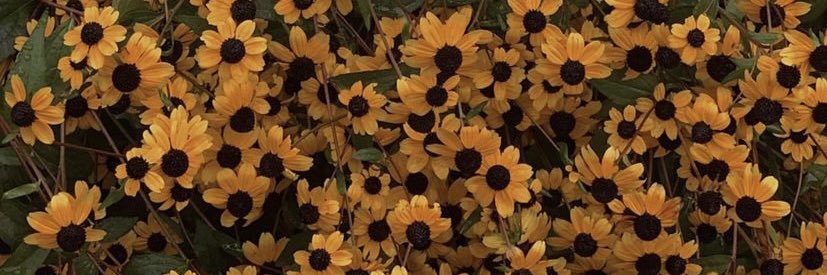 dillyarhy's profile banner image