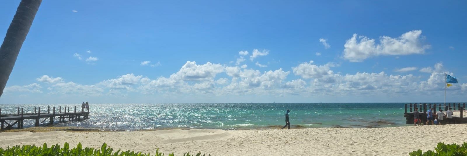 Luz María Hernández 🇺🇦🇲🇽 banner