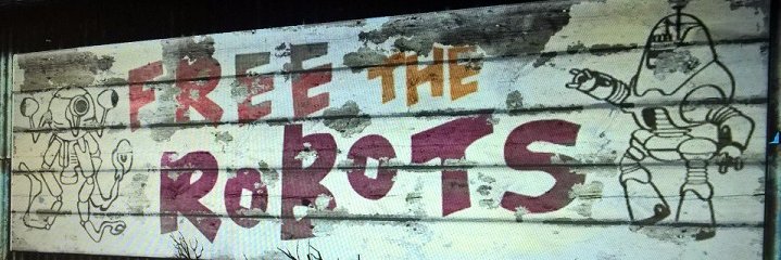 SarcasticRobot's profile banner image