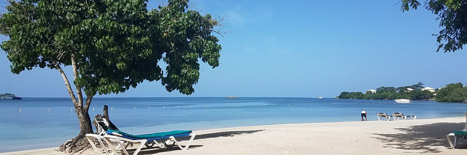 Annabel Dotzman banner