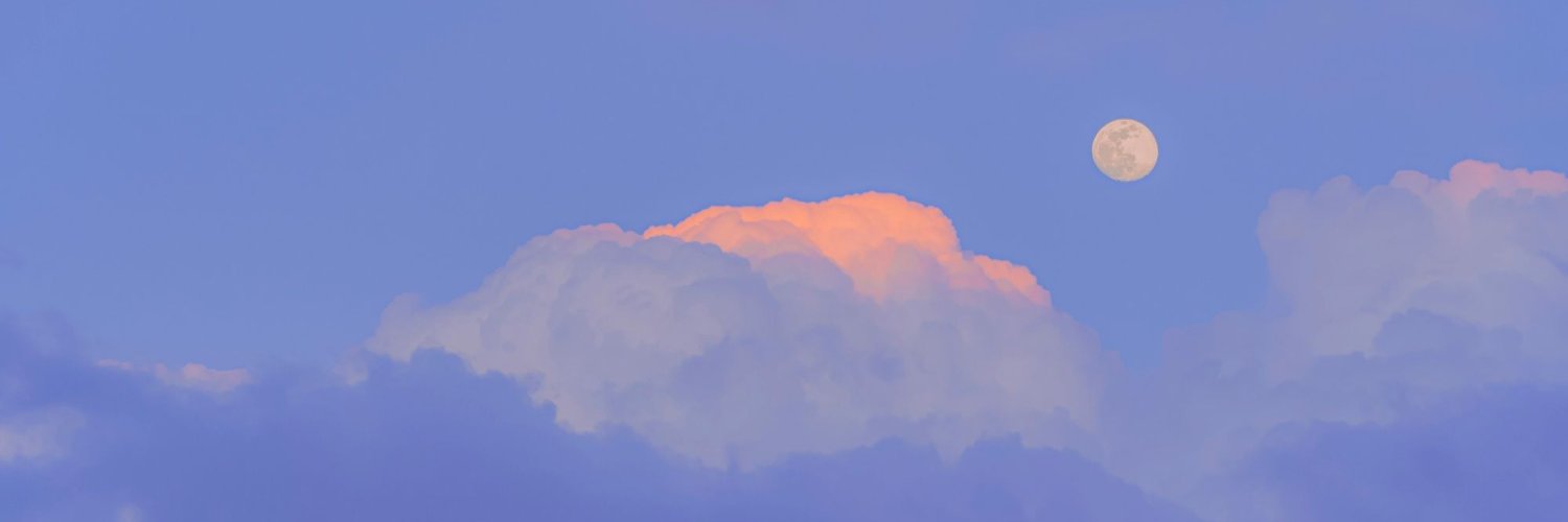 SennaDragon's profile banner image