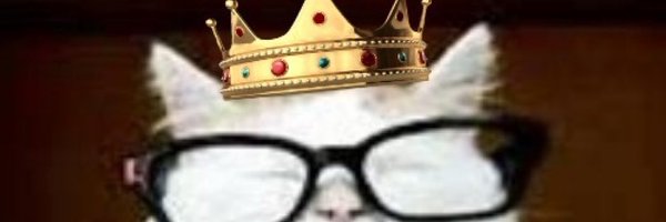 sheba7blue Profile Banner