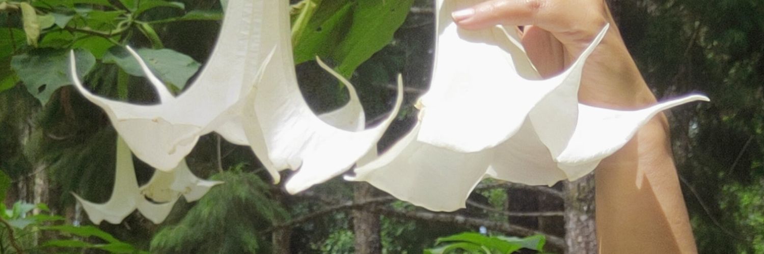 Andre_tauruk81's profile banner image