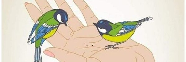 AK_up67 Profile Banner