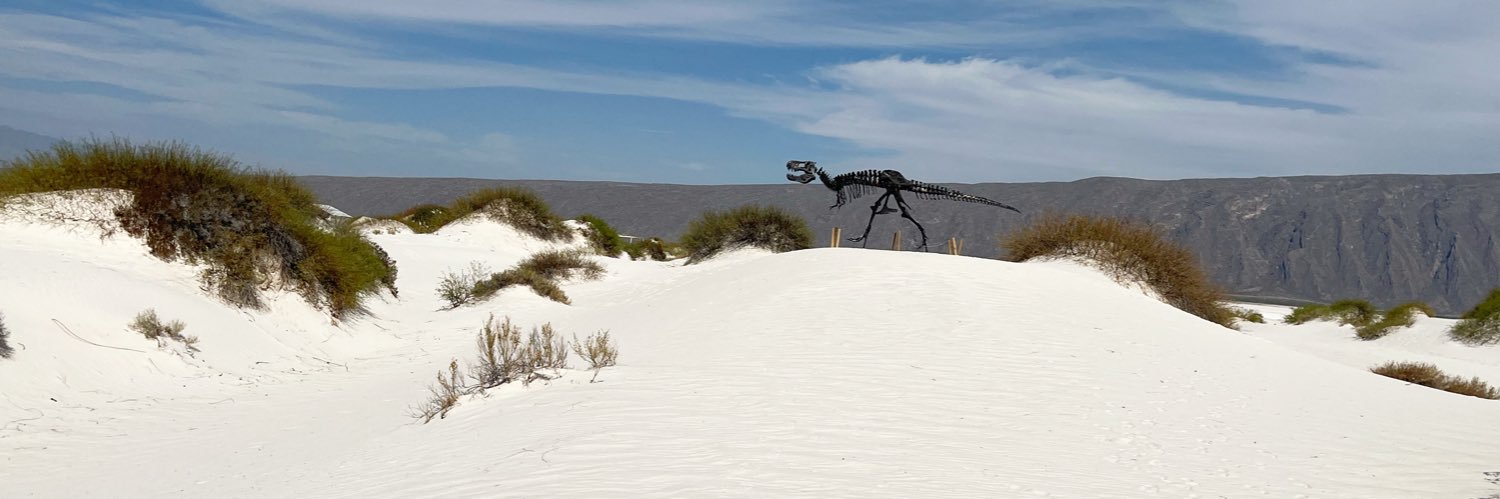 Morning Dew 💜💚 banner