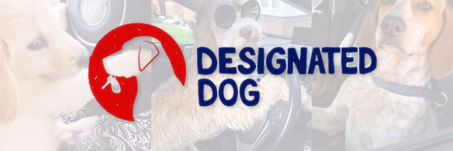 DesignatedDog's profile banner image