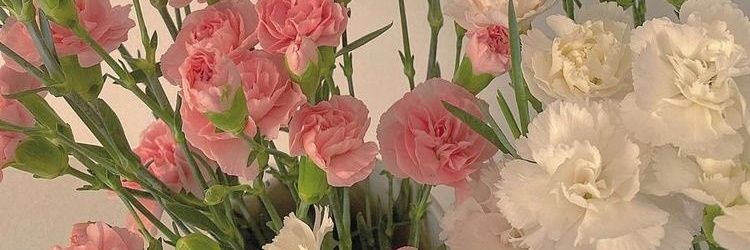 DearNadh's profile banner image