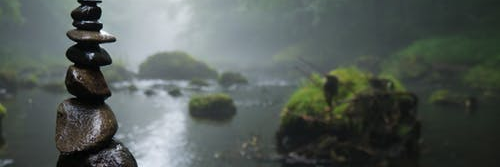 MarkSalinas's profile banner image