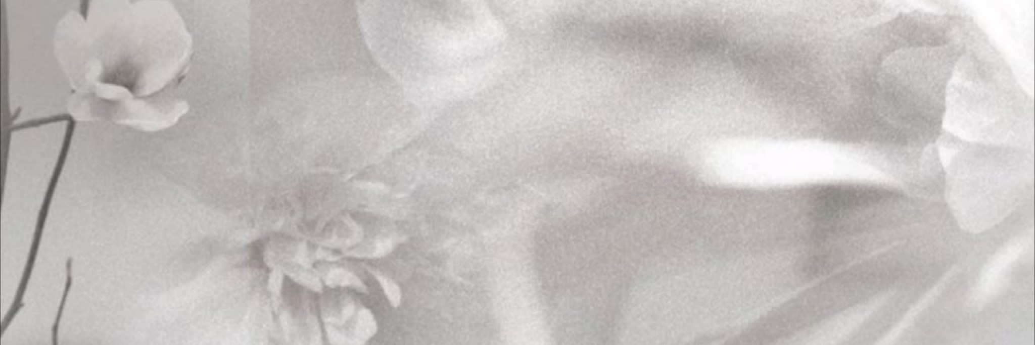 eclipsalios's profile banner image