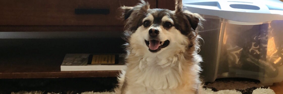 mmnoe1's profile banner image