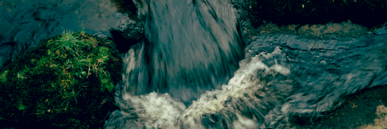 Giordano Lipari banner