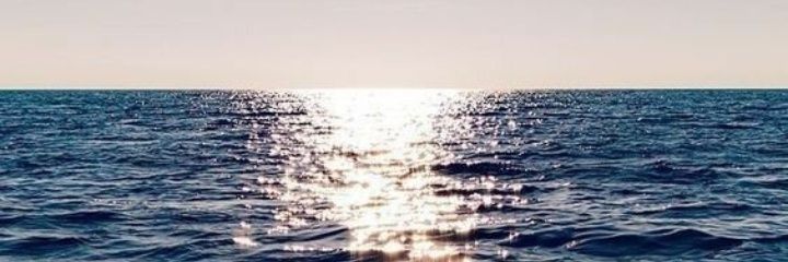 ⚓Päpï Røyäl's⚓ banner