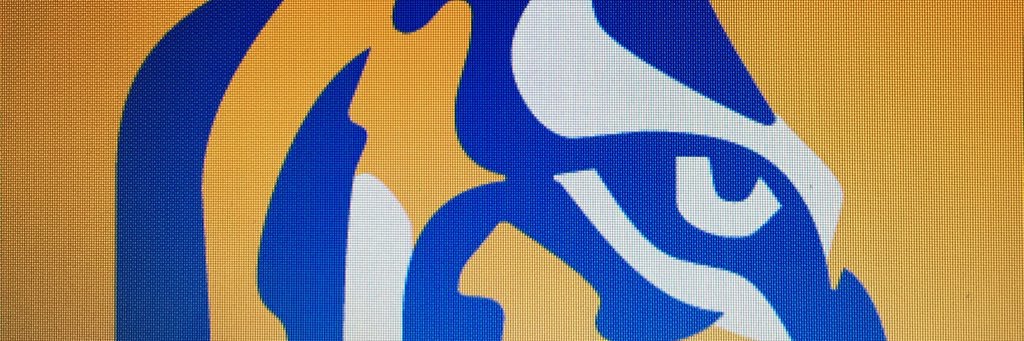 ysquien banner