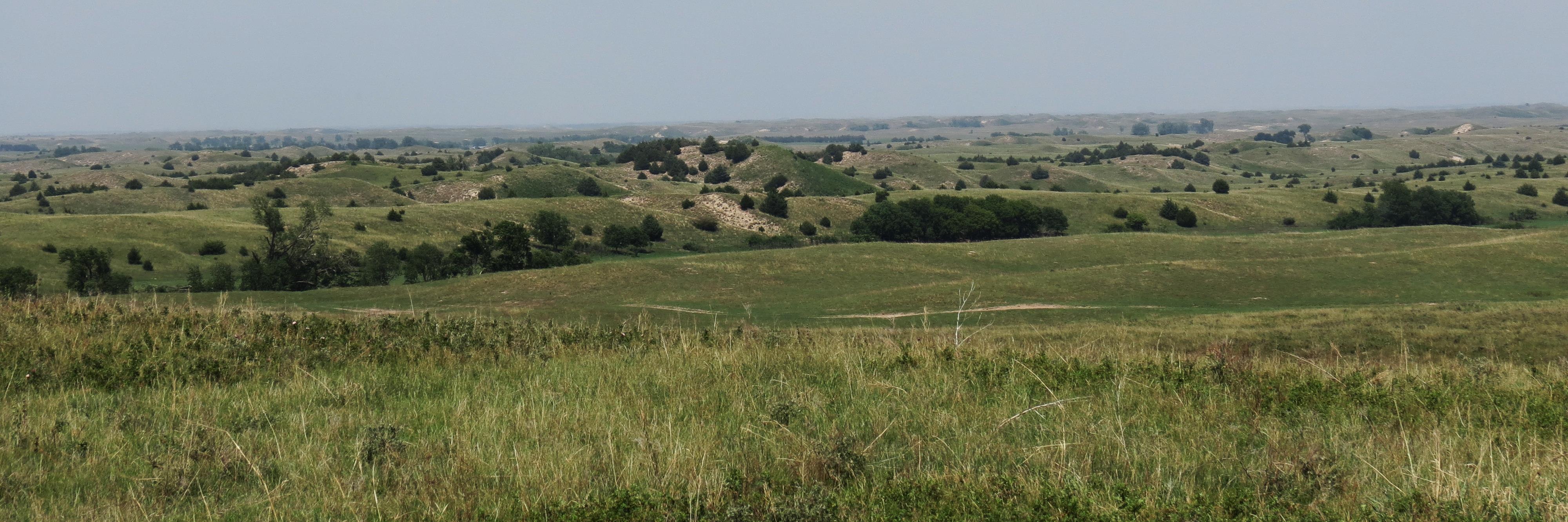 Region26EMA's profile banner image