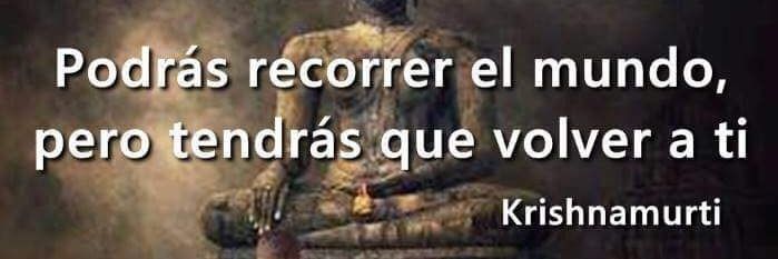 Kathy Alvarado 👁 banner