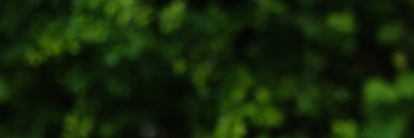 phillips_kap Profile Banner