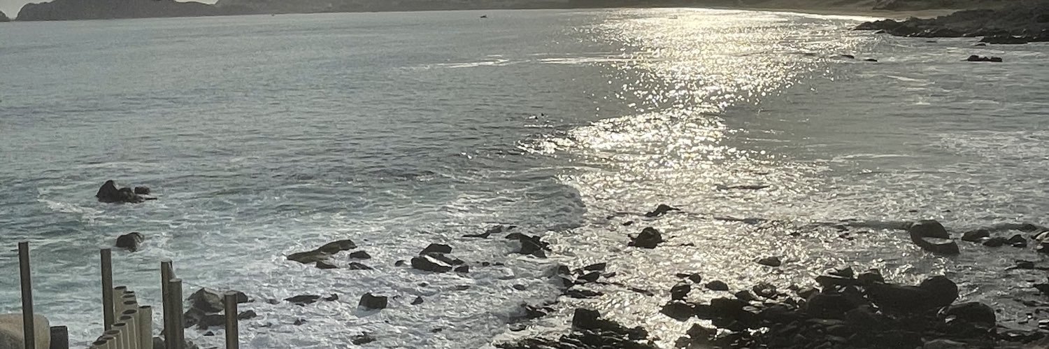 Ale Martínez banner