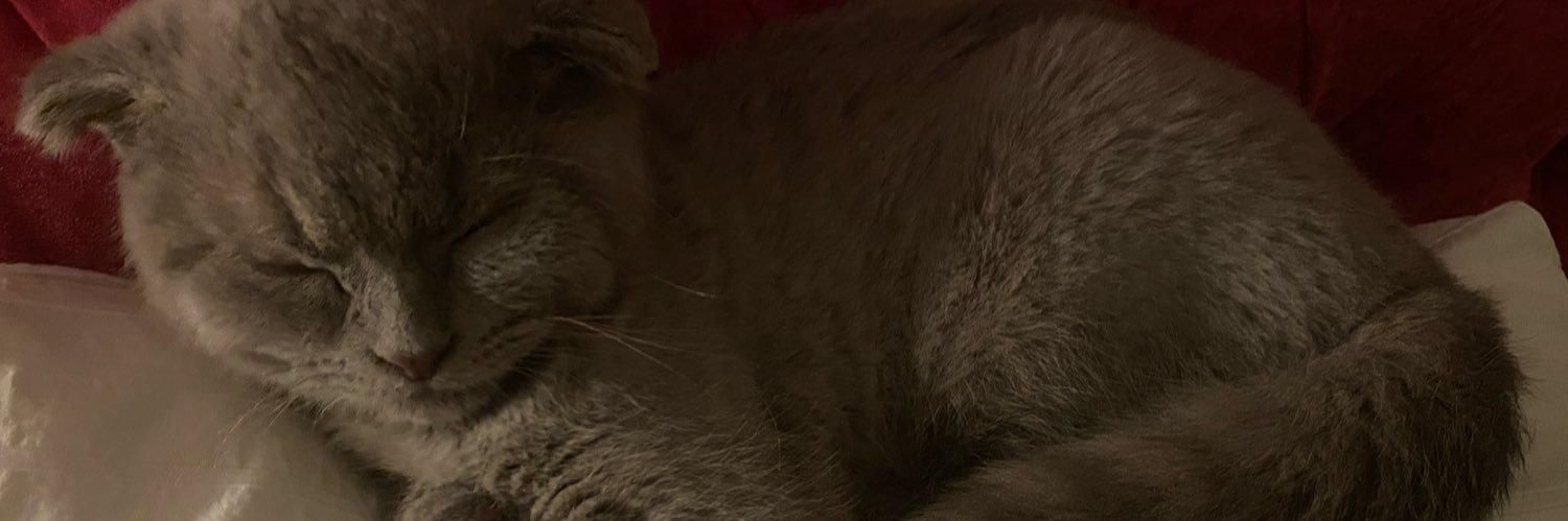 T banner