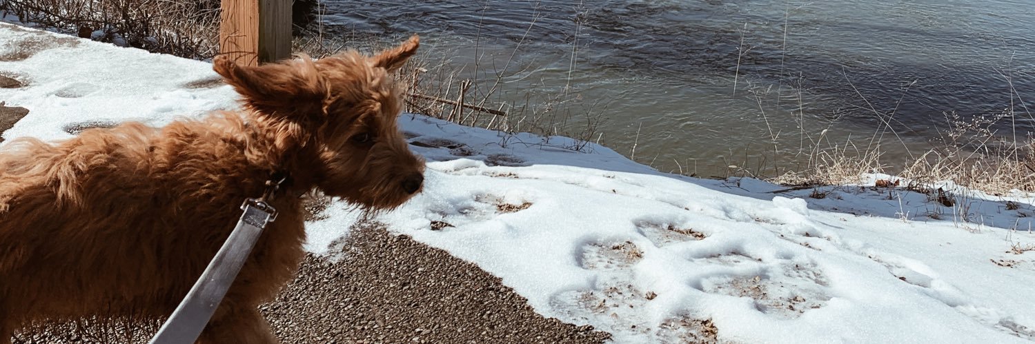 ReganWilsonnn's profile banner image
