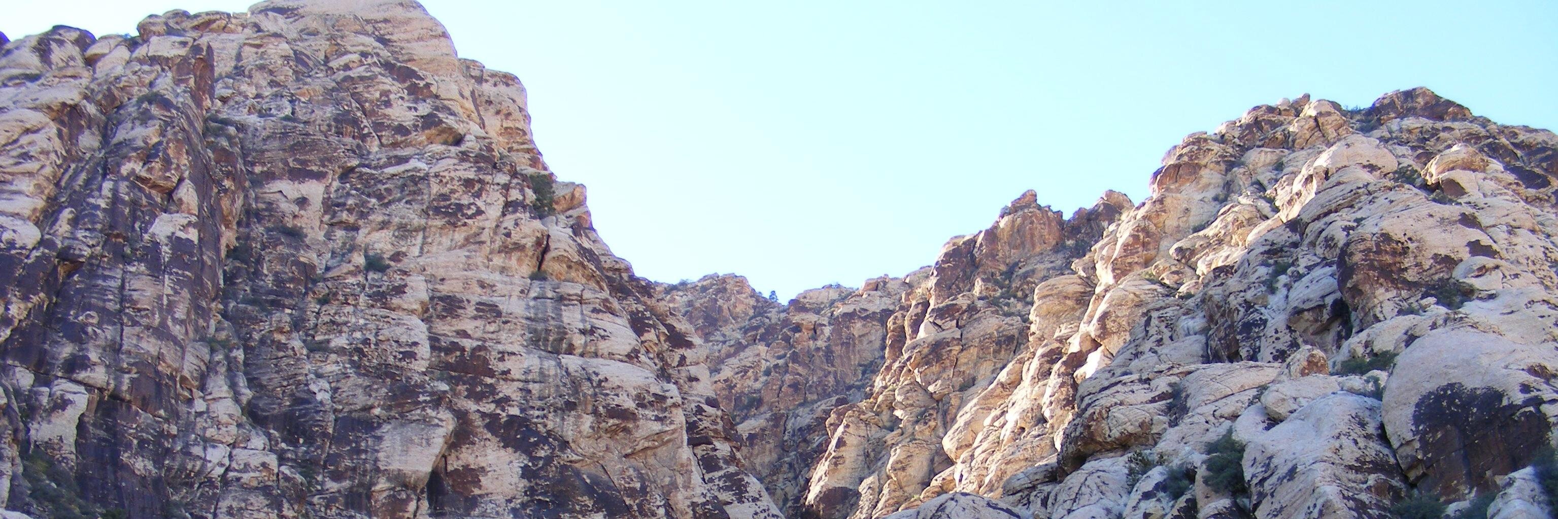 Plain, Simple Scause banner