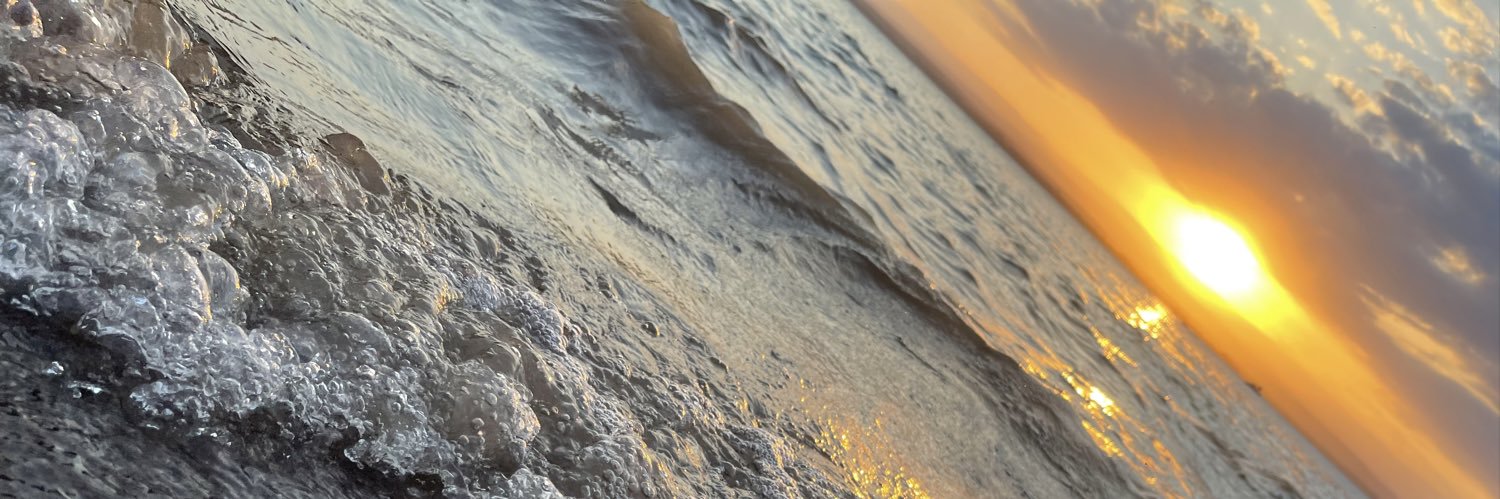 AnyiCerrutti's profile banner image