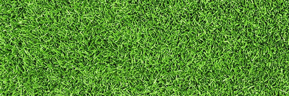 duvrai's profile banner image
