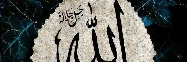 PAPII's banner